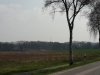 WEA1 Rotorblatt Nr.3 (5km entf.) 2016-04-09