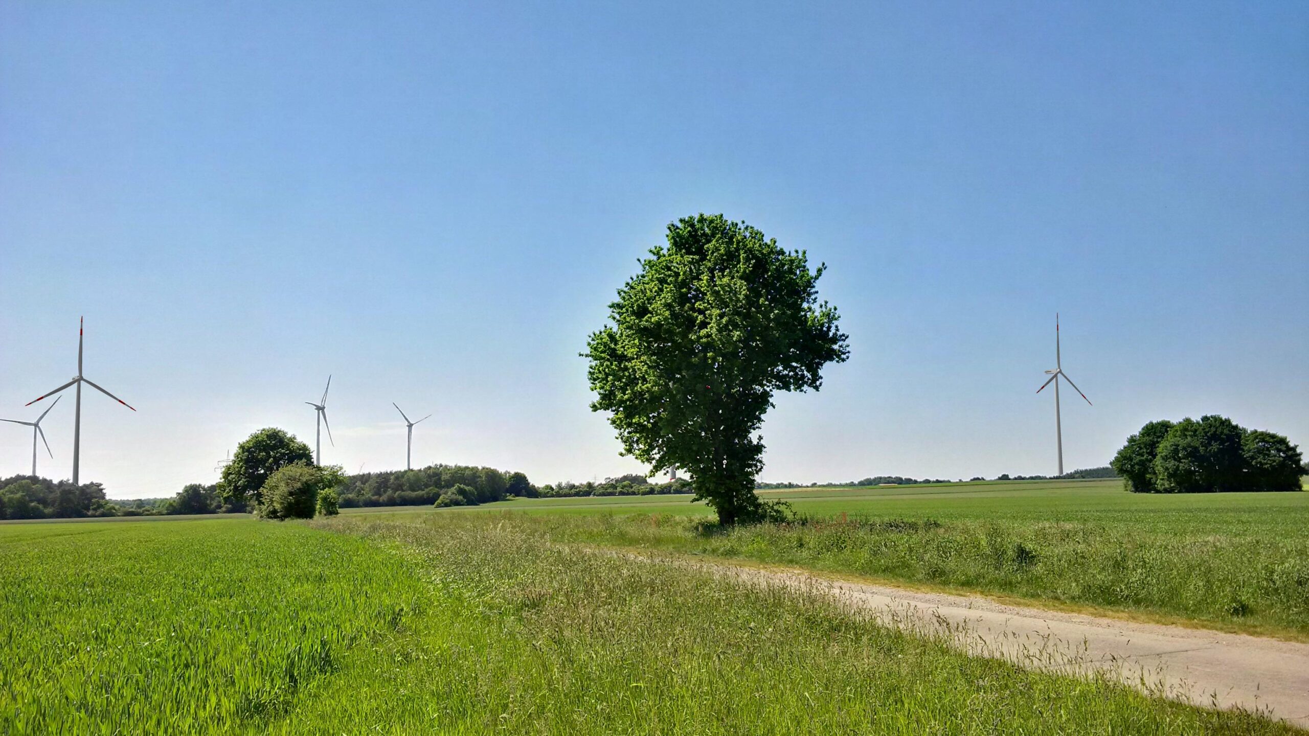 Vorhaben Windpark Ardestorf